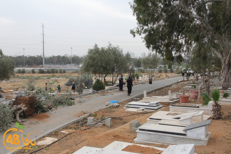 tasoooi3i1412 (55).JPG